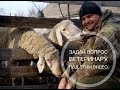 Задайте вопрос ветеринару по этим видео