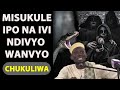 Je Kweli Misukule Ipo Sababu Ya Misukule Ni Kivule Kuchukuliwa Sheikh Shabani Pembe 