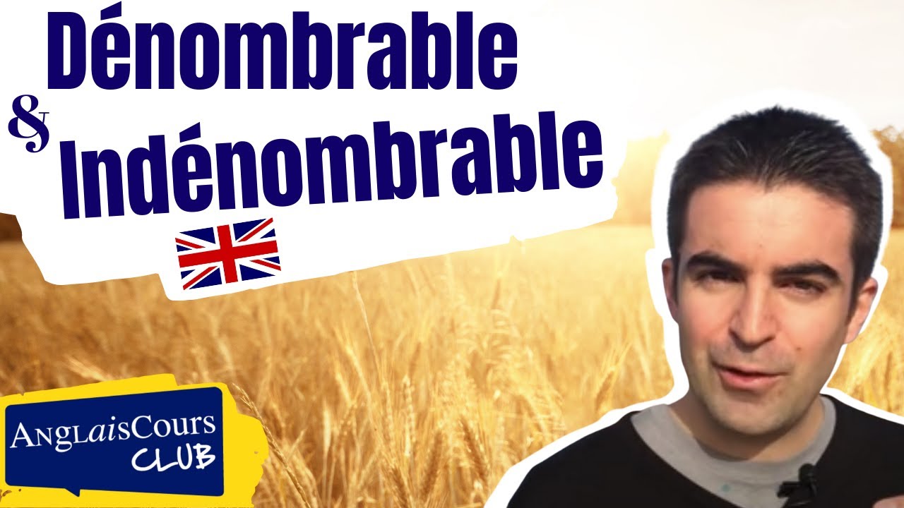 Dénombrables et indénombrables en anglais