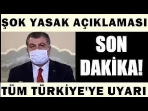 Video: Delta, Hizmet Ve Duygusal Destek Hayvanları Ile Yatılı Için Kısıtlamalar Ekliyor