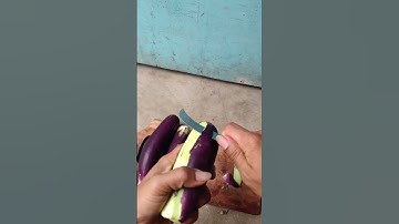 Techniques and skills for peeling eggplant easily-Agriculture farming #shorts