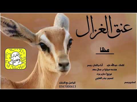 شيلة عنق الغزال اداء وسم 2021 حصرياً