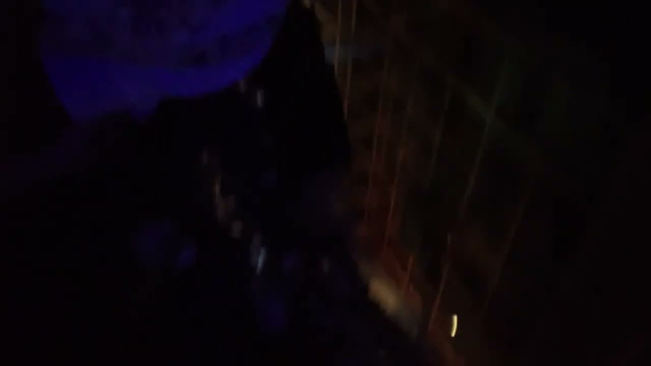 Ginuwine and friends