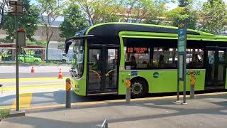 SMB3133R Sv 858. Departing Opp Yishun MRT Stn. MAN A22 Euro 5 (Batch 2) SD Bus. 20/07/26. SG❤️BUS SMB3133R Sv 858. Departing Opp Yishun MRT Stn. MAN A22 Euro 5 (Batch 2) SD Bus. 20/07/26. SG❤️BUS