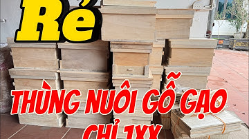 MUA NGAY THÙNG NUÔI ONG MẬT ĐỂ TÁCH ĐÀN CHO VỤ ONG 2025 / THÙNG GIÁ RẺ 170k