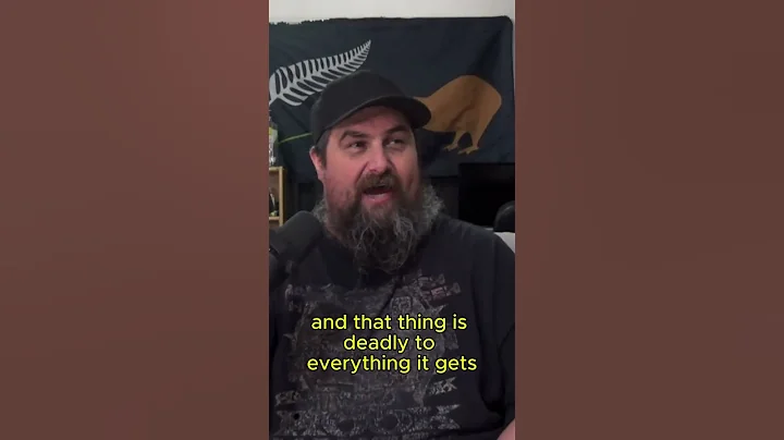 When Helldivers Got To Xbox 😂 #gaming #podcast #comedy #entertainment #xbox #short #reels #tiktok