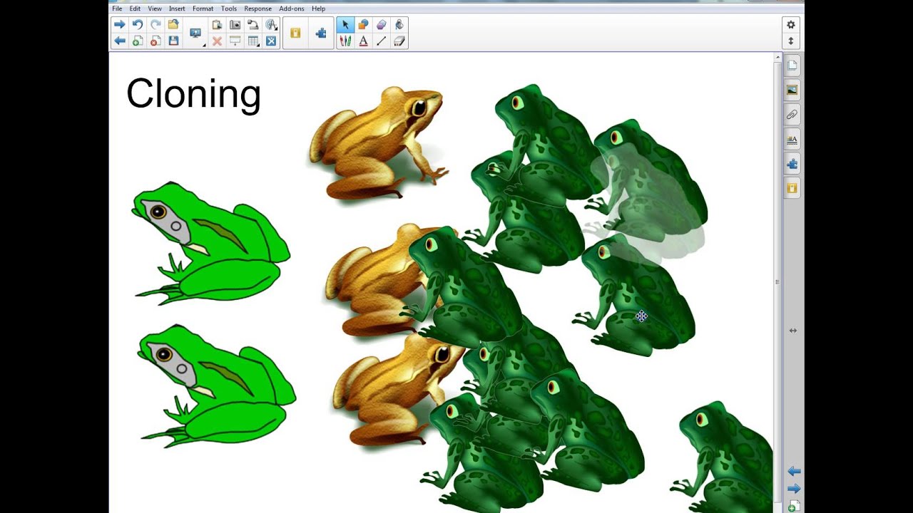 Smart Notebook 14: Advanced Object Manipulations - YouTube