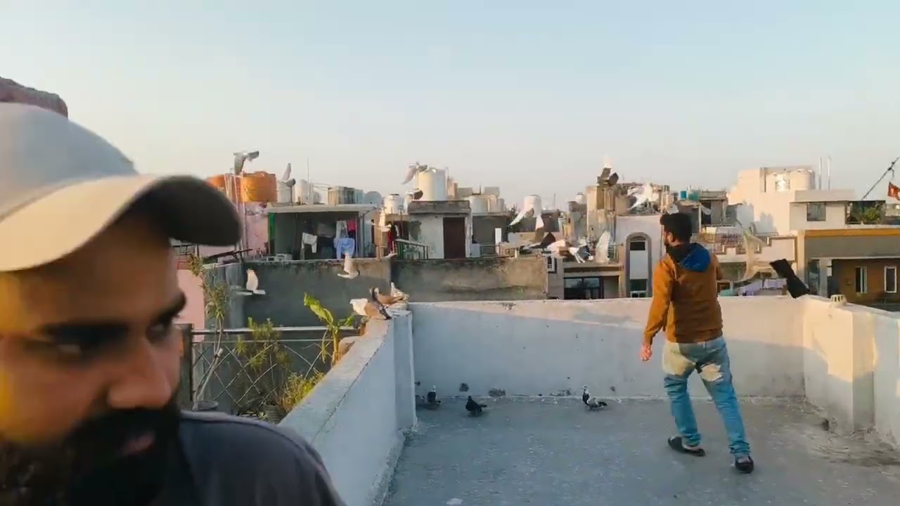  Aj ka shikar 🕊️🕊️💝@PanjabiHarsh635#viralvideo  #trainingvideo#youtubevideo #injoytime #viral 