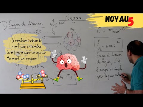 Vidéo: Quelle Interaction Physique Détermine La Liaison Des Nucléons Dans Le Noyau