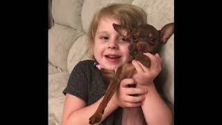 ВЛОГ. Видео из жизни Lady Dano4ki/ Леди Дана играет с принцем))) ВЛОГ. Видео из жизни Lady Dano4ki/ Леди Дана играет с принцем)))