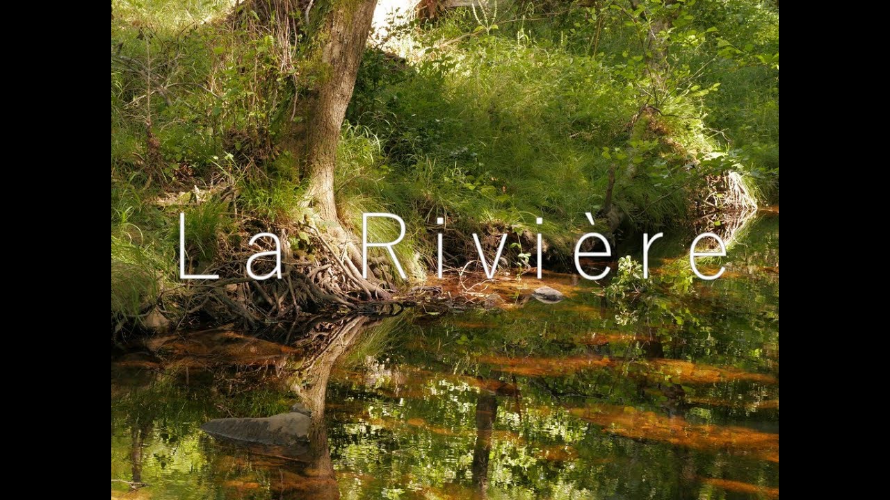 La Rivière YouTube