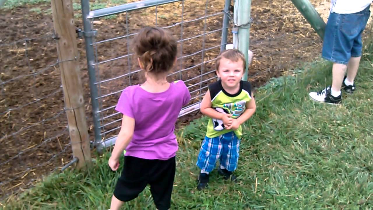 Fun at Wheeler Farm 02 YouTube
