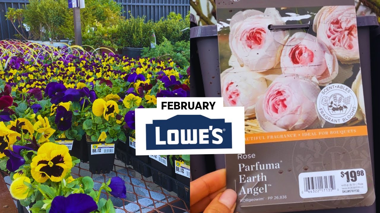 From Seeds to Blooms: Exploring Lowes Garden Center Inventory