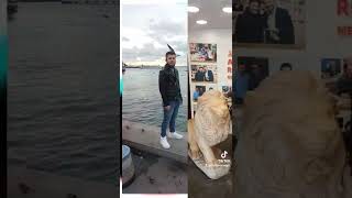 Tarıkcan Nergiz Kurtlar Vadisi 2022 Devlete Çalişiyorsun Sen