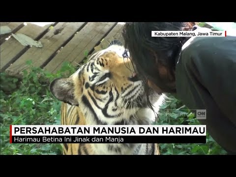 Persahabatan Sejati Antara