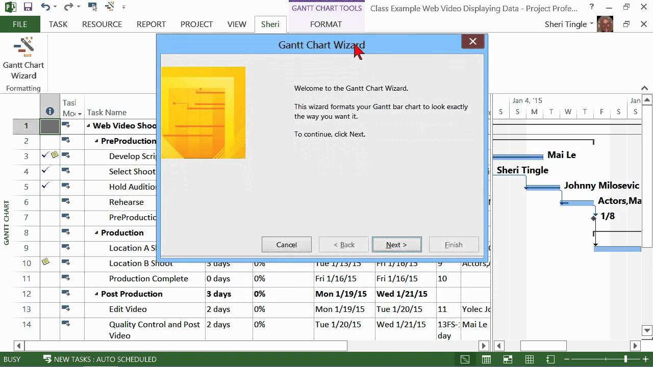 Microsoft Project 2010 Gantt Chart Wizard