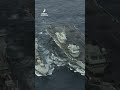 Defense Ecosystem in USA #shortvideo