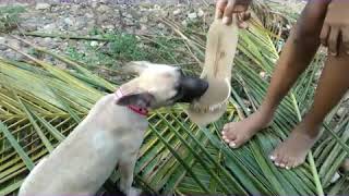 Olha Aí Eu Brincando Com Essas Meninas Sou Super Elétrica Kkkk