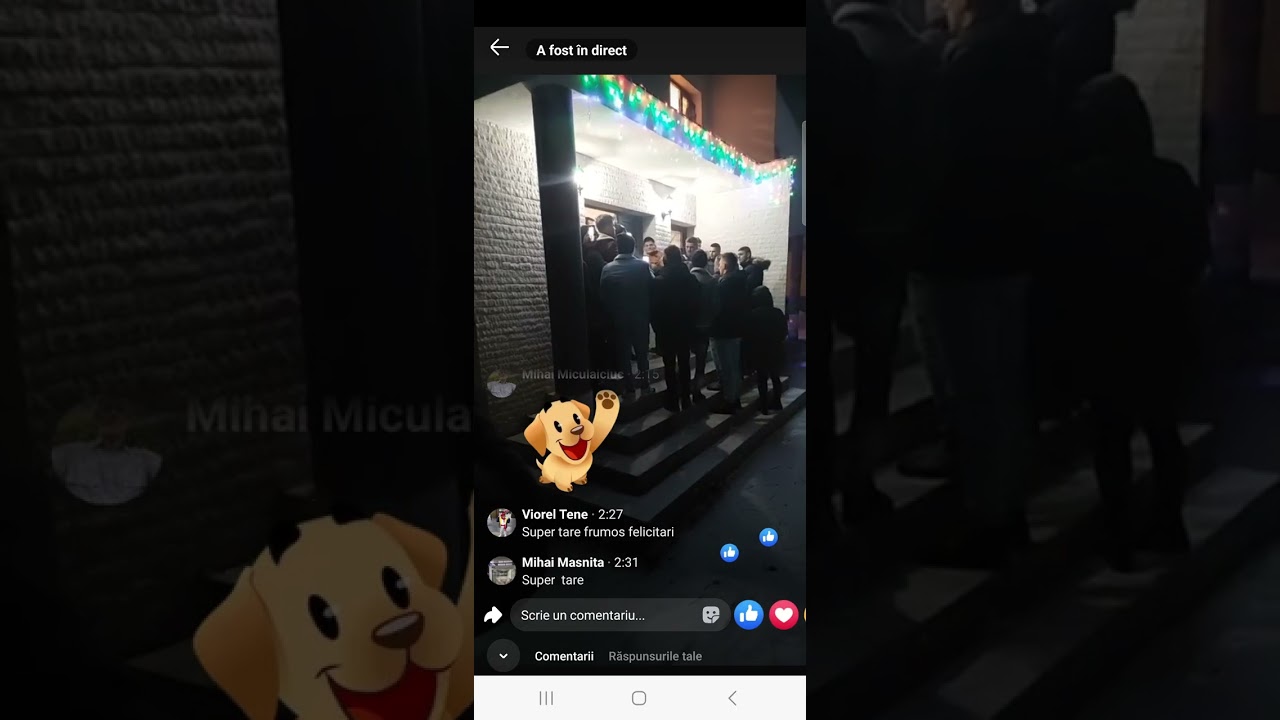 Presiata Diva Echipa Uloha