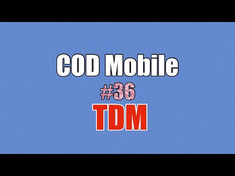 【cod mobile TDM】#36 このマップはまだ真冬❄️ 14k3d HG 40