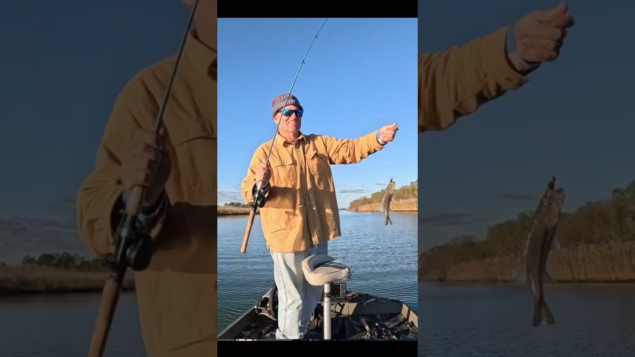 И всё это за одну поездку в устье реки Миссисипи!