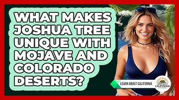 What Makes Joshua Tree Unique With Mojave And Colorado Deserts? - Learn About California