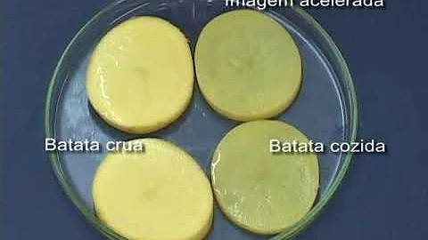 Qual a enzima que provoca escurecimento na batata?