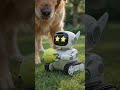 A Dog and His Robot