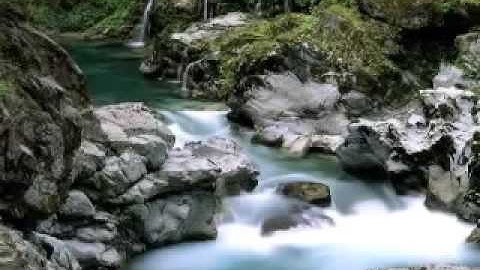 محمد البراك سورة الكوثر