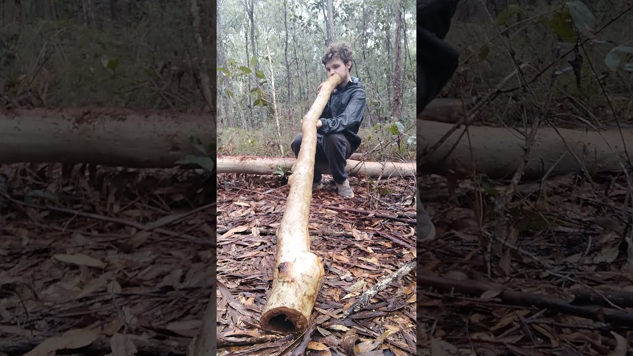 Plays Straight Off The Cut Will Be My New Personal Didgeridoo 