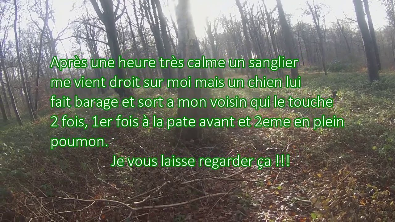 Chasse en battue 2018