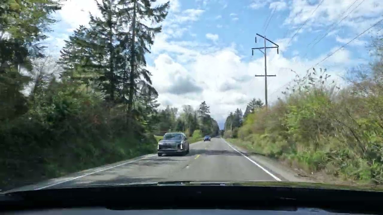 17. Drive to Mt. Rainier National Park, Ashford, Washington, GP-12387