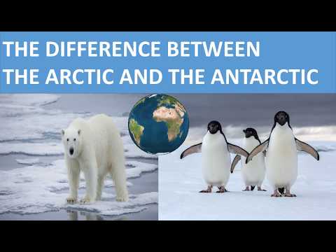 THE DIFFERENCE BETWEEN THE ARCTIC AND THE ANTARCTIC || SCIENCE VIDEO FOR KIDS