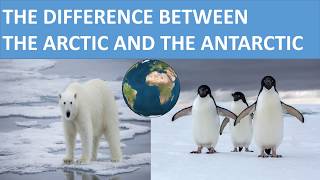 Vad är skillnaden mellan Nordpolen och Sydpolen?