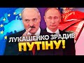 ⚡️Лукашенко РВЕТЬСЯ НА ЗАХІД? Це зрада! Путін терміново шукає заміну президенту Білорусі