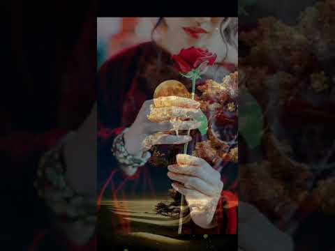 هاني شاكر