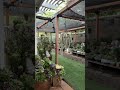 Rain in Northern California #plants #succulent #rain #garden #succulentgarden