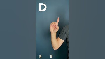 the ASL ALPHABET in 15 seconds | American Sign Language