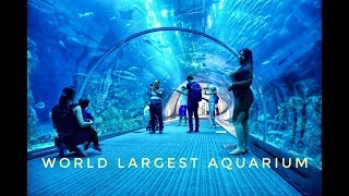 Dubai aquarium - world largest aquarium-guinness record 2008