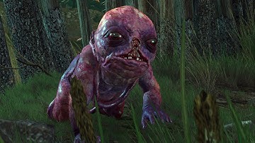 Witcher 3 - Family Matters Quest - Botchling Scene