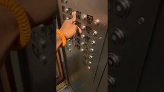 NYCHA Grant House’s riding elevator(B)18th floor L building 430 W.125th St NYCHA Grant House’s riding elevator(B)18th floor L building 430 W.125th St