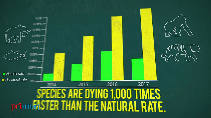 GOING GREEN | Saving Planet Earth - The 3R Solution | Saving Planet Earth -3 R Solution