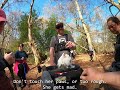 Heading Off Piste For A Little Adventure Through The Woods рџђ рџЊІ Heading Off Piste For A Little Adventure Through The Woods рџђ рџЊІ