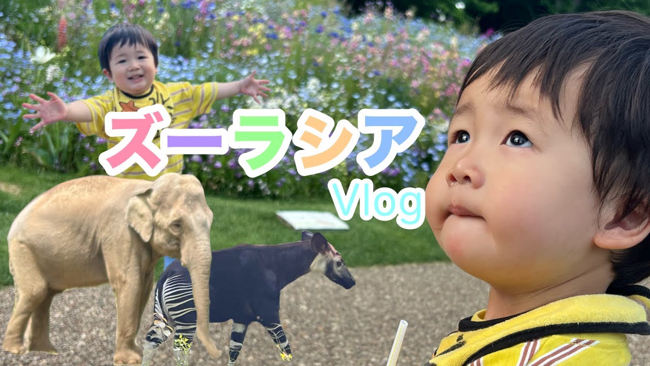 【ズーラシアVlog】1歳9ヶ月の息子と横浜の動物園に行きました