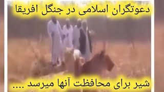 کرامت دعوتگران اسلامی در جنگل افریقا