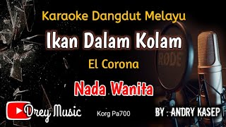 Ikan Dalam Kolam Karaoke/El Corona/Tanpa Vocal/Nada Wanita/@dreymusic6402