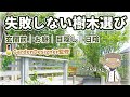 【目的別】樹木の選び方とお勧め22種紹介|玄関前|お庭|目隠し|日陰