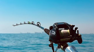 Daiwa Tanacom 750 Electric Reel