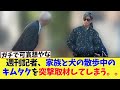 週刊記者「中居さんのトラブルについてはどう思いますか？」【2chまとめ、ネットの反応】
