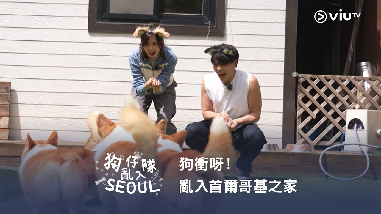 《狗仔隊亂入Seoul》狗衝呀！🐶 亂入首爾哥基之家🏡 - YouTube